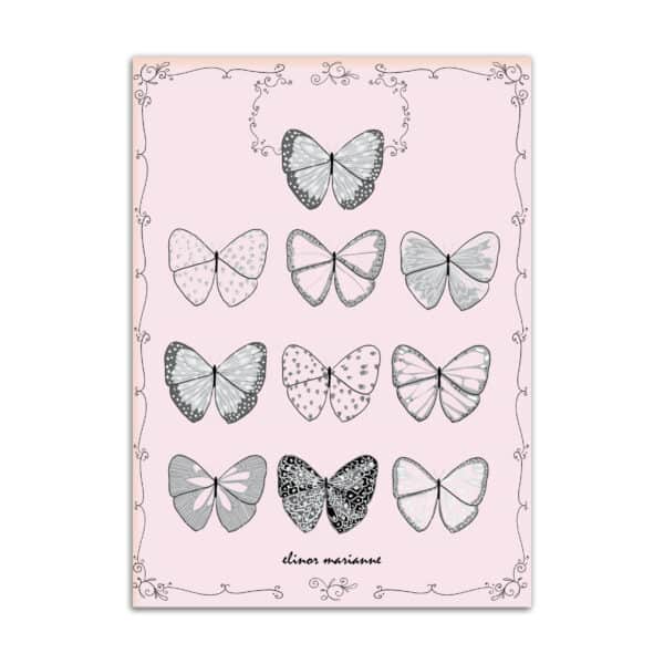 quaderno mariposa (farfalla)