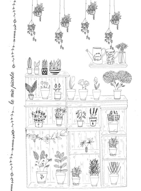 le piante di casa - immagine 10