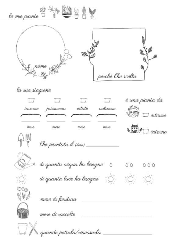 le piante di casa - immagine 11