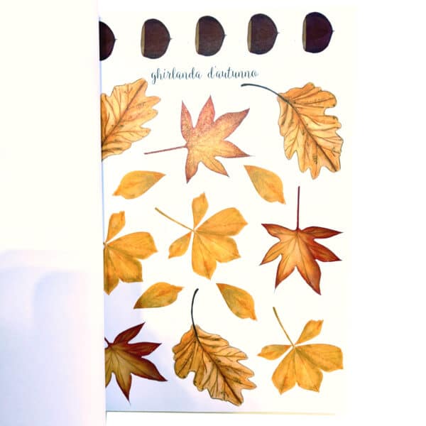 book e cartellina un momento per me - autunno - immagine 9