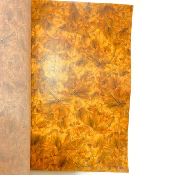 album di carte decorative - autunno - immagine 3