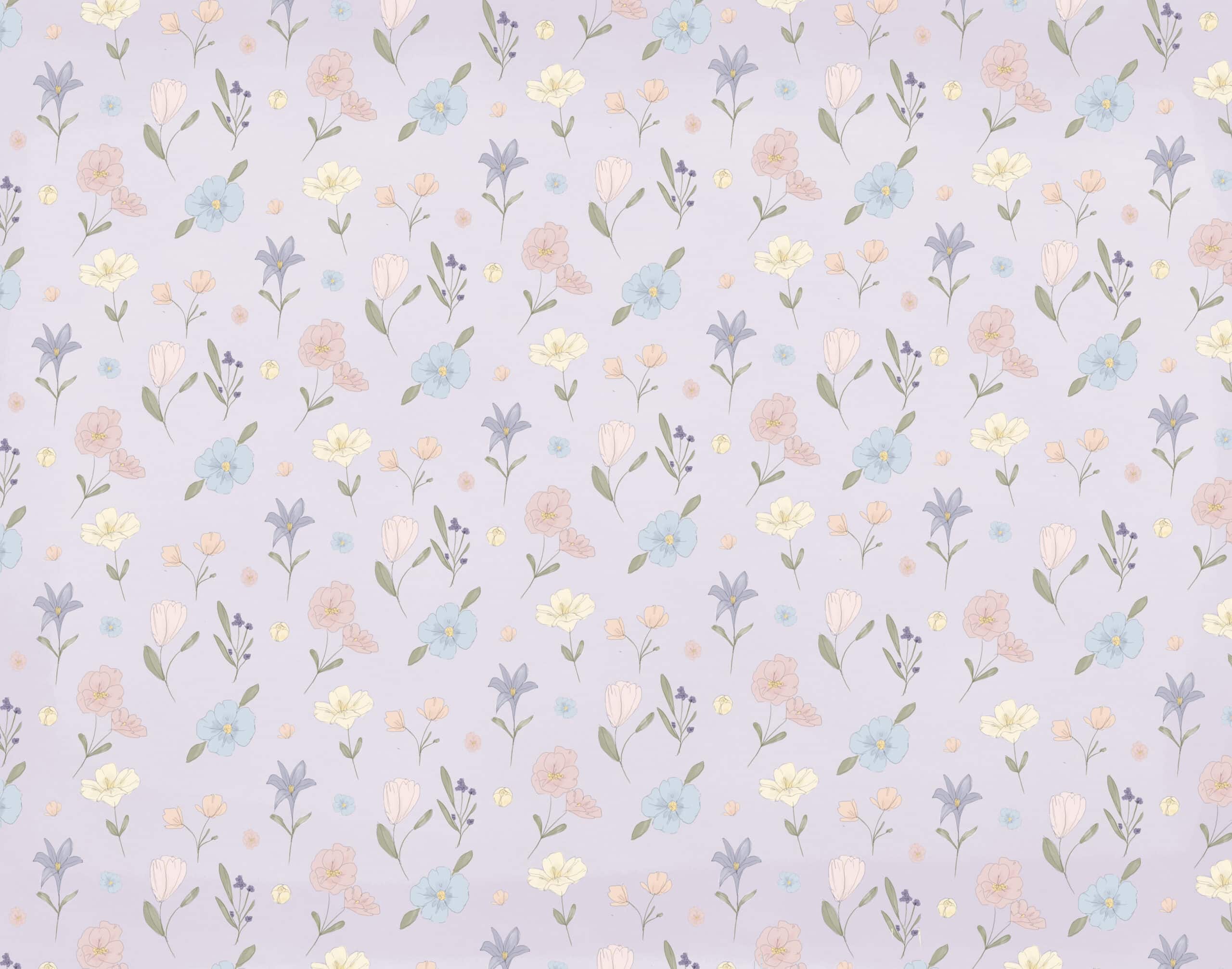 Collezione primavera