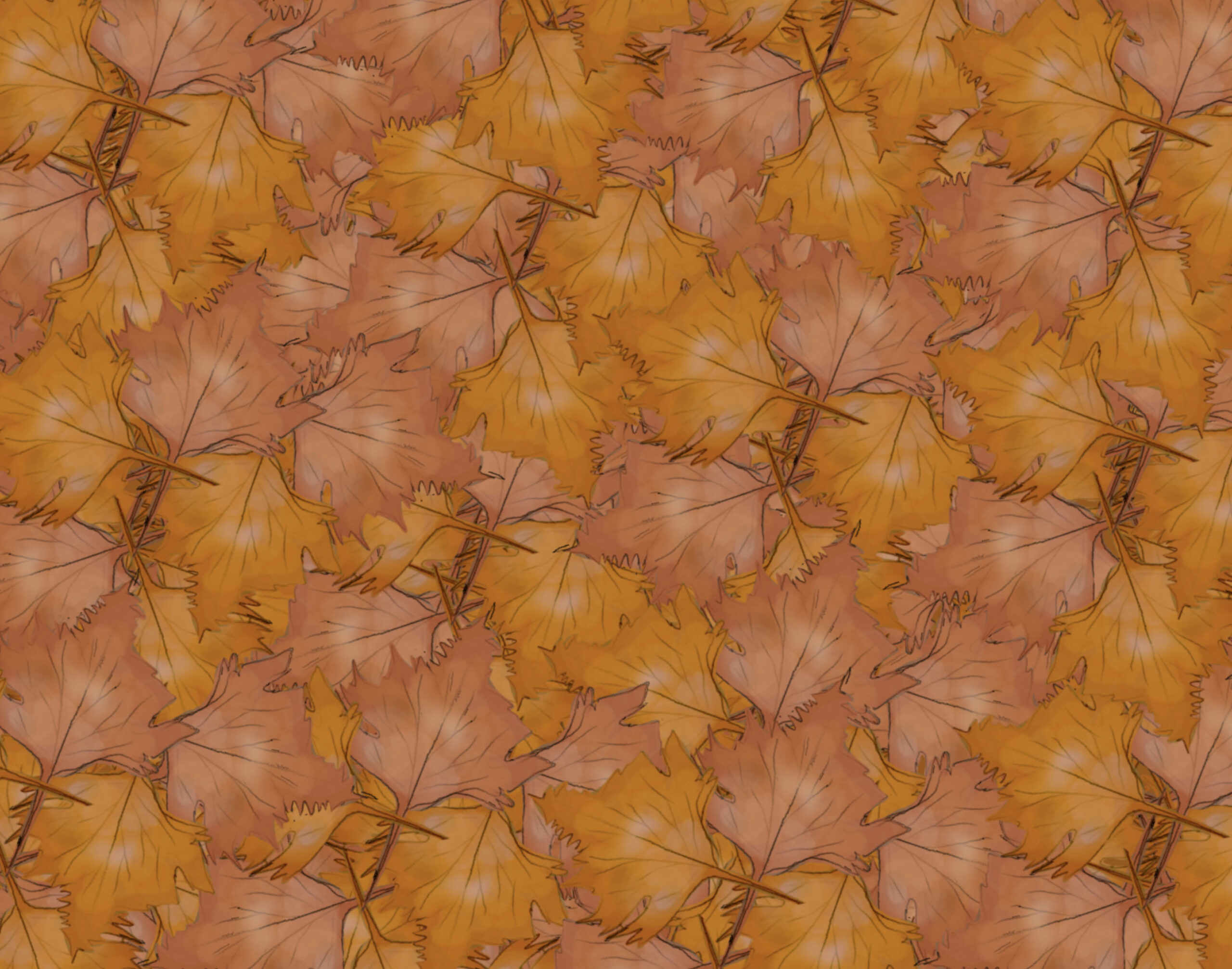Collezione autunno