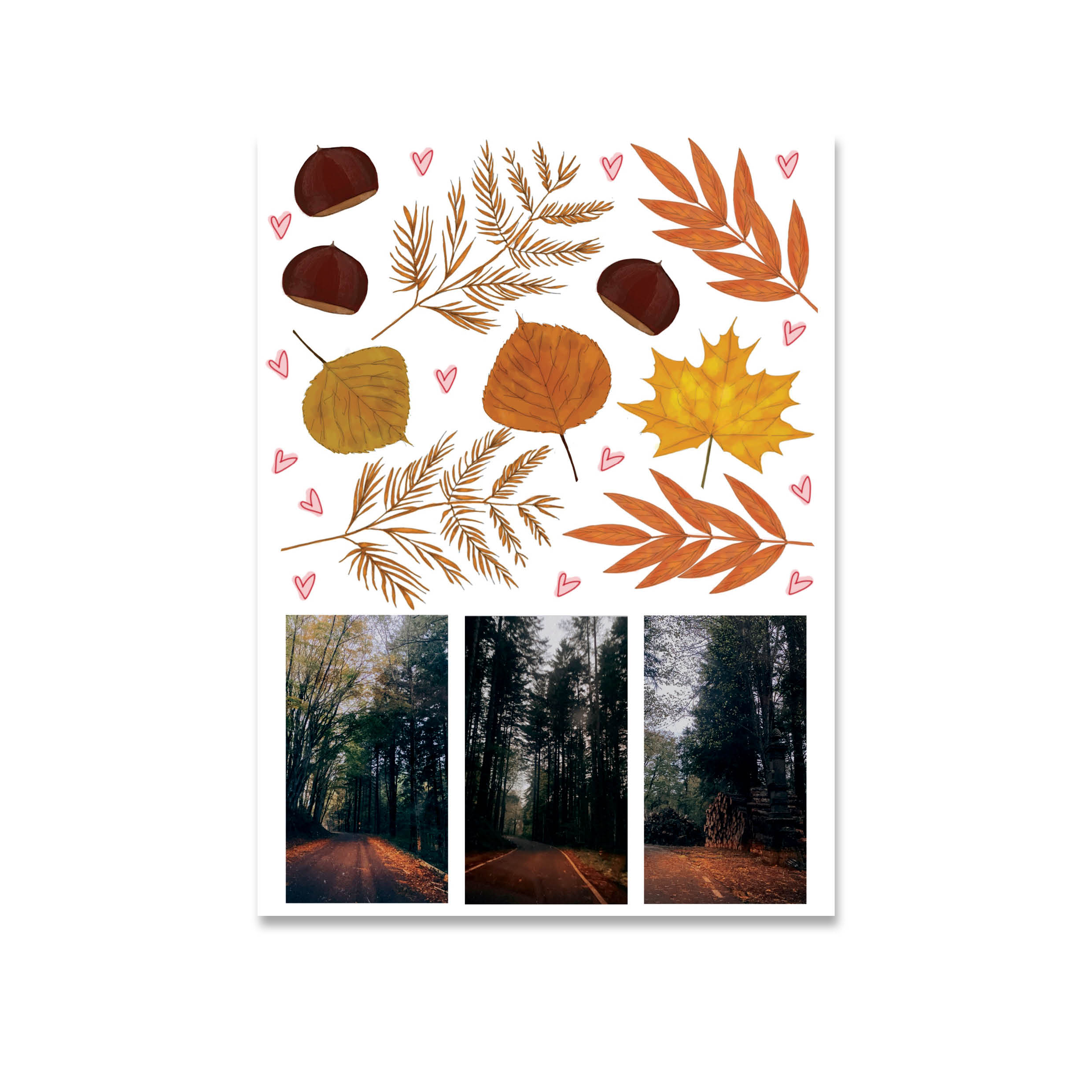book le stagioni dell'anima - autunno - immagine 13